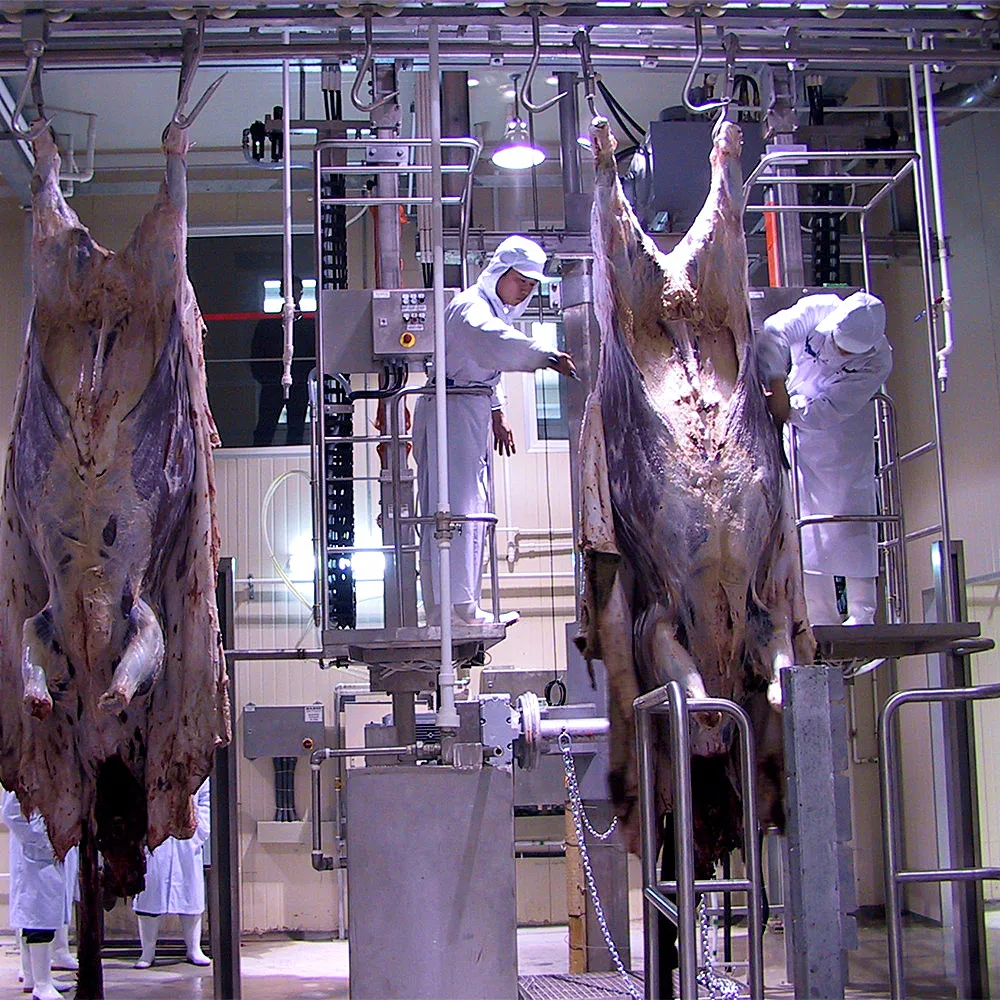 Kosher beef and sheep slaughterhouse meat slaughterhouse equipment