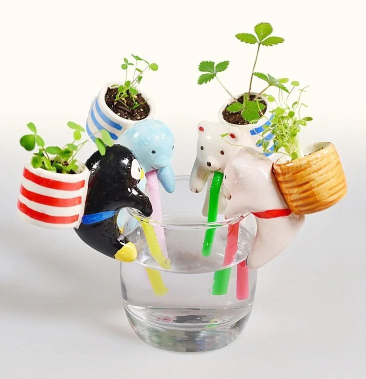 grow a doll by adding water