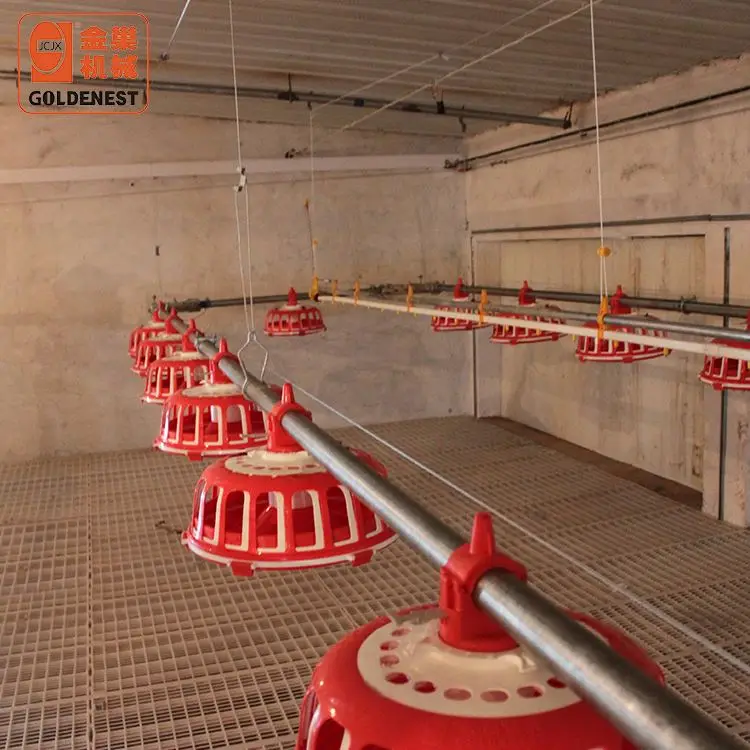 Высококачественное оборудование для птицеводства автоматическая кормушка бройлеров и
