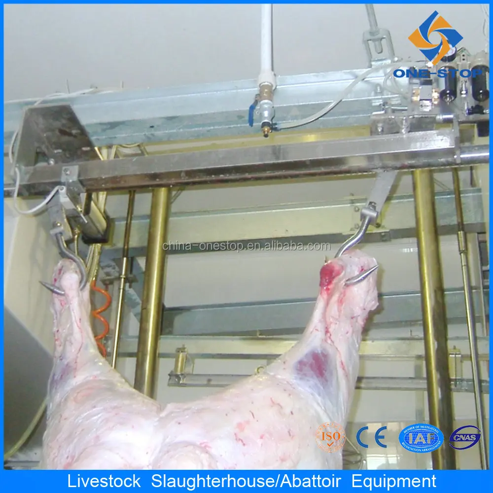 Belt type beef bone cutting machine
