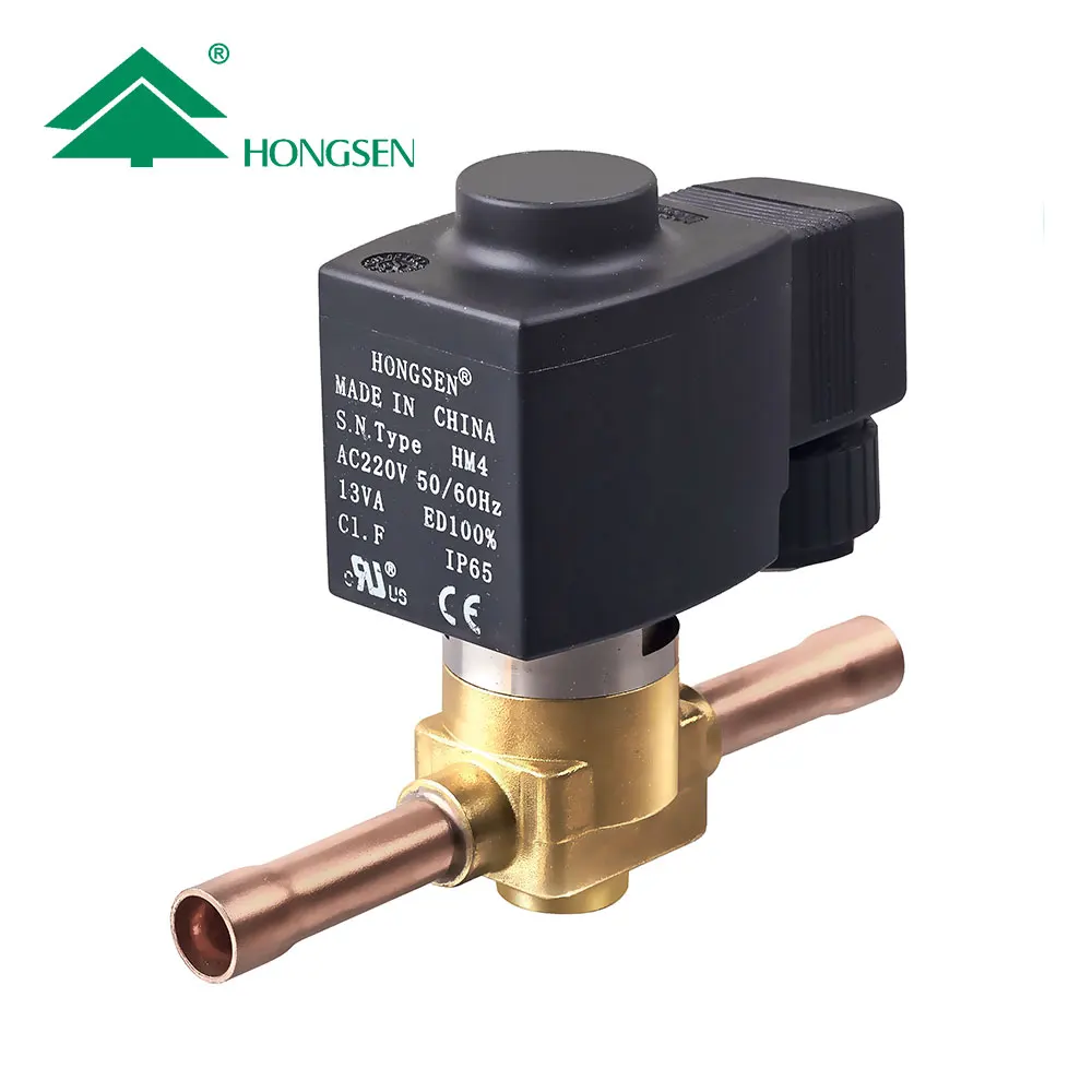 HONGSEN Model HVH Piston Type Miniature Solenoid Valve 24V 12V 220V for Stage Injection