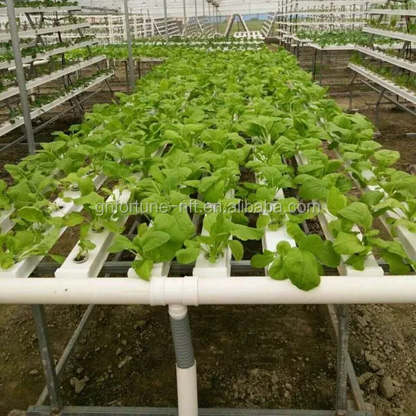 Homemade Hydroponics System PVC Hydroponics Pipe