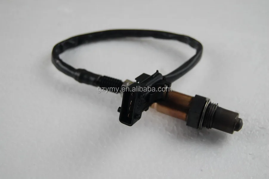 標本 Yunnan China Necydalis s.p 23mm Yunnan China Necydalis s.p 23mm