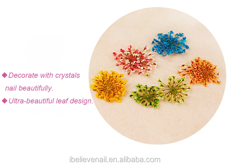 12 видов цветов украшения сухой цветок наклейки для ногтей 3D