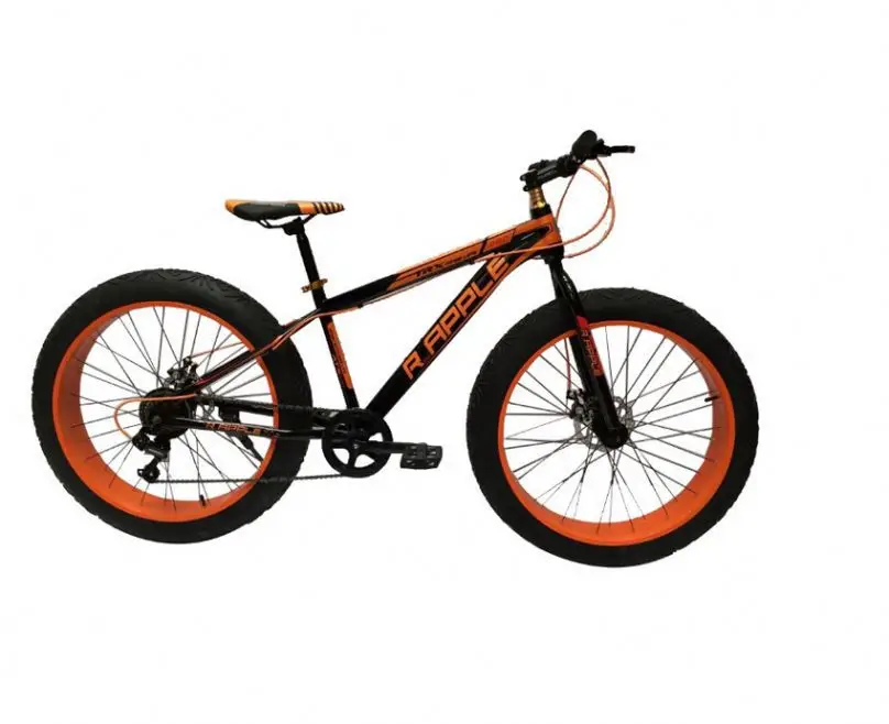 fatboy mountain bike for sale