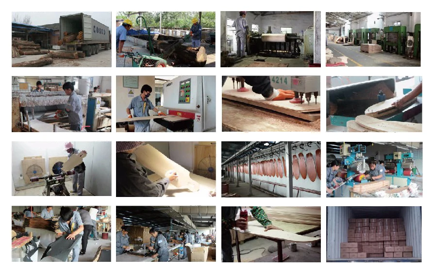 HTB1pQPCdlcXBuNjt Xoq6xIwFXax