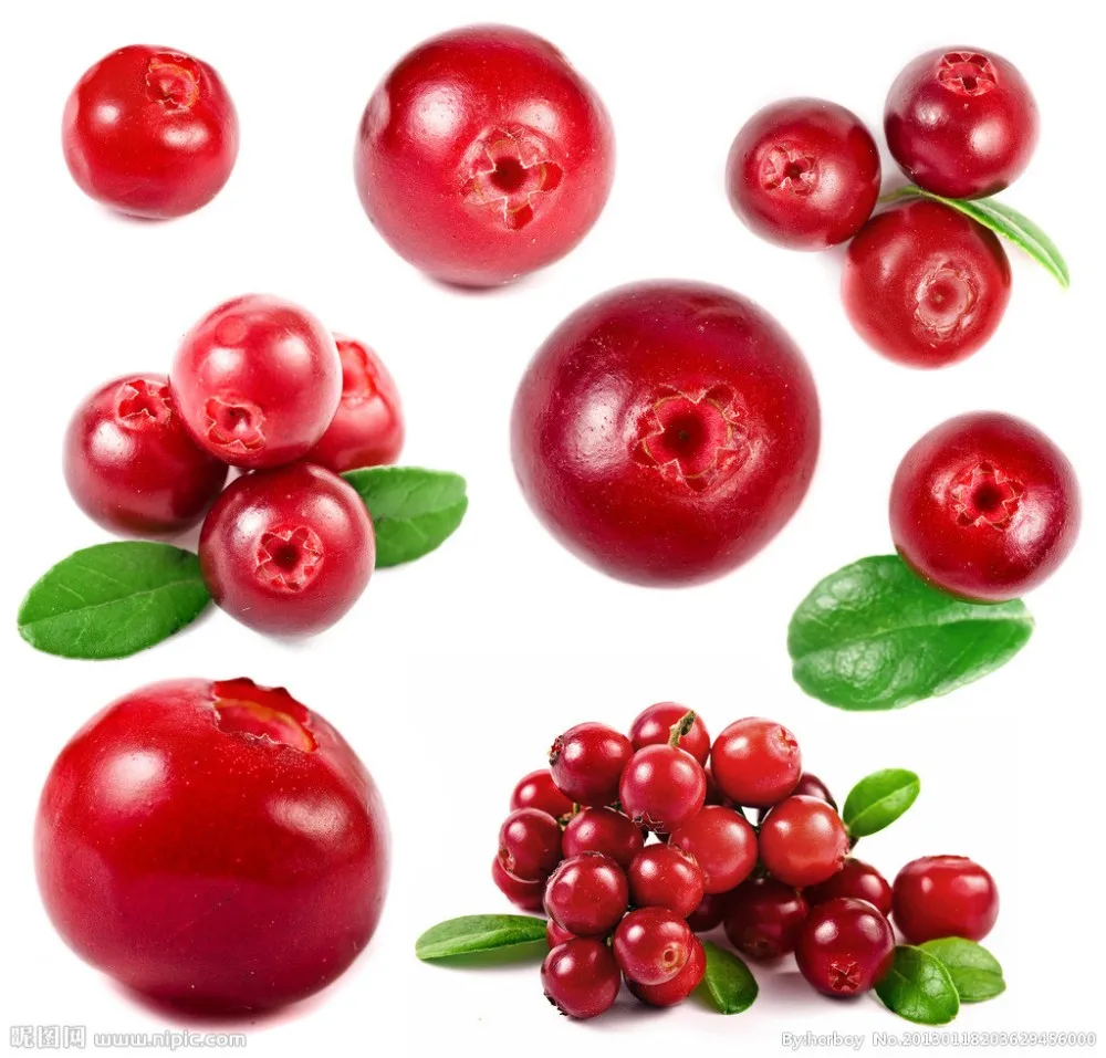 Chinese Herbal Extract Lingonberry Powder Lingonberry Extract Buy