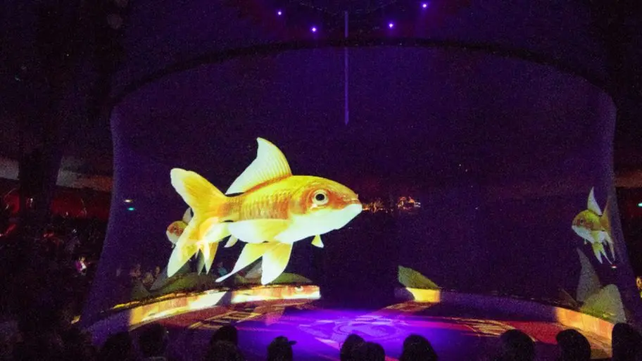 Holographic Mesh Projection Screen Holo Gauze 3D Holonet for Stage Show