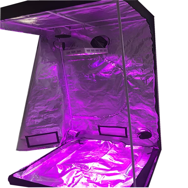 High Quality 2 In 1 Led Grow Tent Complete Kit With Great Price Buy 2 In 1 Grow Tent Led Grow Tent Complete Kit Grow Tent 3x3 Product On Alibaba Com