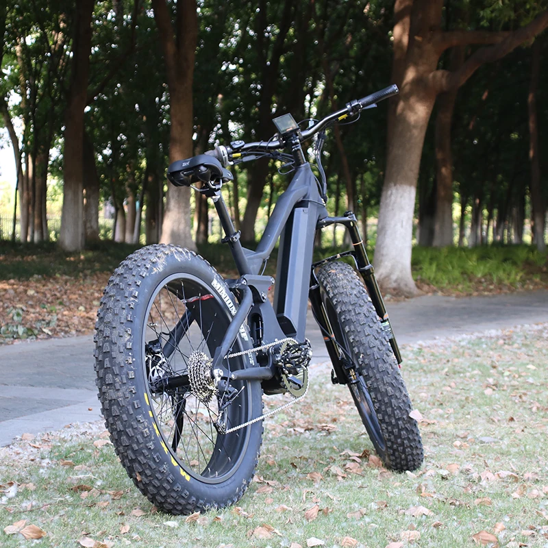 fat tire beach cruiser electric bike