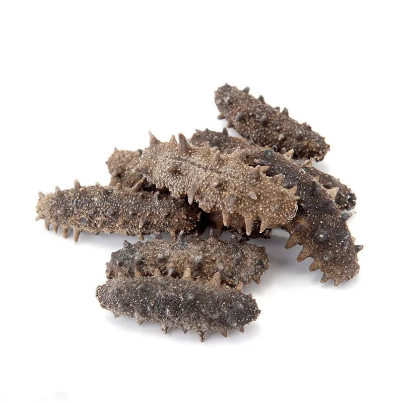 chinese best price of dried sea cucumber from taiwanstrait