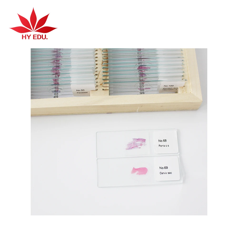 
 Лидер продаж, микроскоп для высокого образования, слайды, 100 видов гистологии человека  