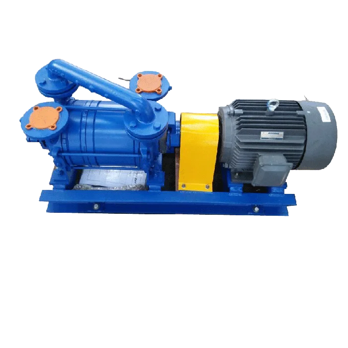 DLV600 Double Stage Liquid Ring Vacuum Pump Stainless Steel Water Ring Pump