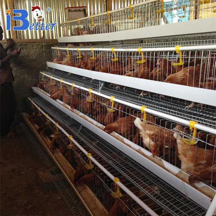 Wholesale Quality Farm Feeding Steel Animal Cages - Buy Animal  Cages,Poultry Farm Layer Cage,Poultry Husbandry Equipment Product on  