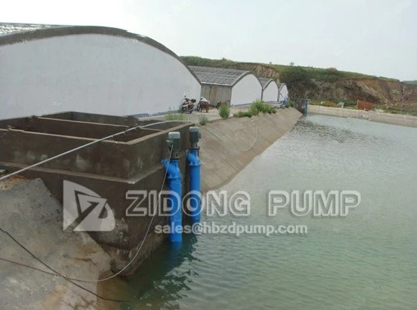 ZLH Vertical Propeller Axial Flow Pump Aquaculture Fish Farming Water Pump