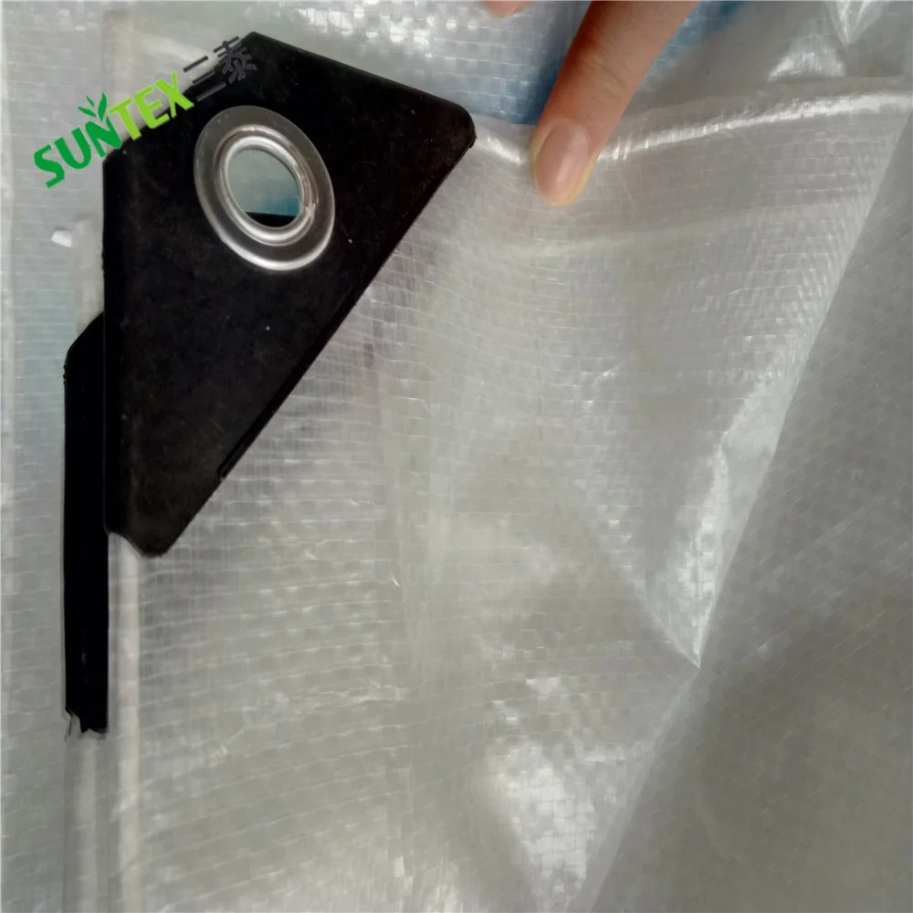 20m X2m UV Resistant Plastic Rain Covers for Orchards Cherry Table Grape Protection Cover PE Tarpaulin