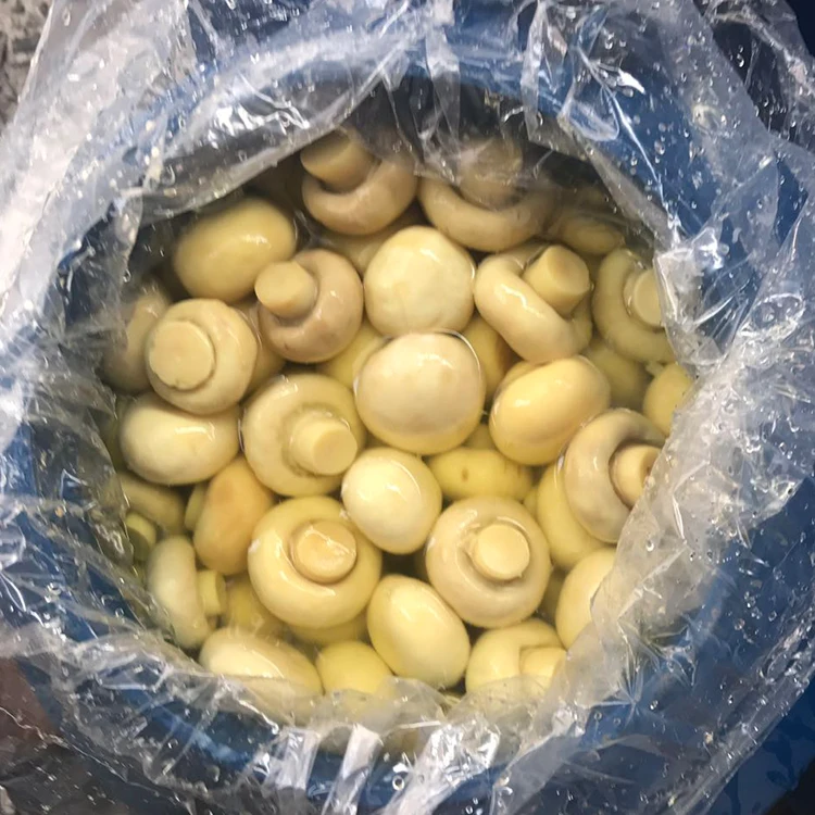 Многолетние поставки цельных шампиньонов в SO2