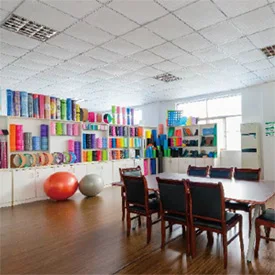 Jiangsu Huayi Sports Technology Co., Ltd.