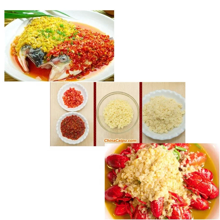 Машина для обработки луковой пасты измельчитель Чили машина изготовления пюре картофеля чеснока имбиря