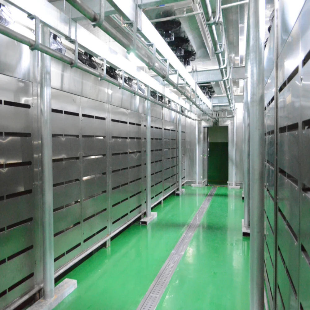 Chicken thawing chamber for defrosting machine frozen meat microwave thawing machine equipment