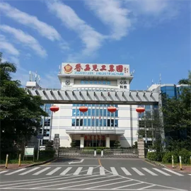Shenzhen Xinhansheng Technology Co., Ltd.