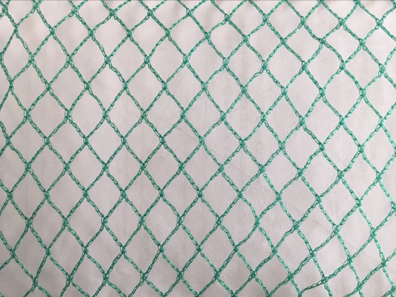 Hotsale HDPE Green Bird Farm Net with UV for Catching Birds 20gsm 30gsm 40gsm Bird Catching Trapping Net