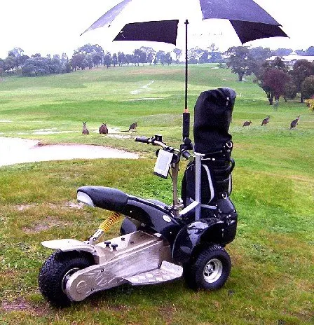 Single Seat Golf Buggy Cheap Single Seater Electric Mini Golf Cart Single  Seat Golf Buggy