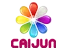 Shenzhen Caijun Advertising Co., Ltd.