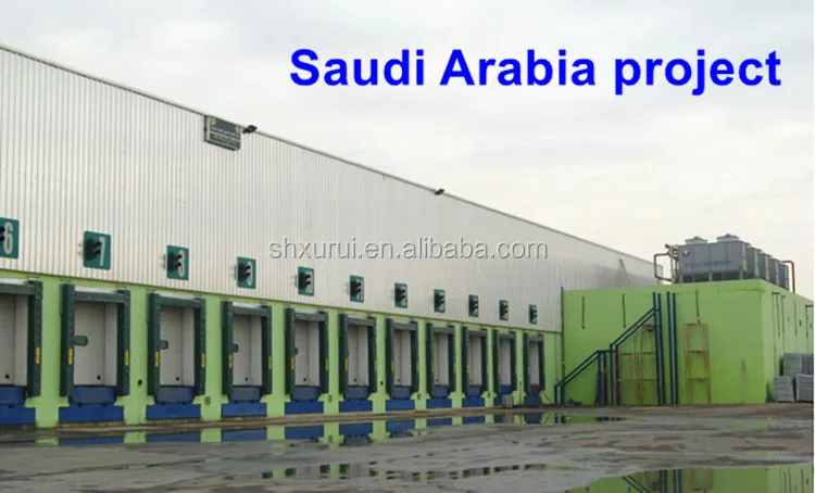 Freezer Cold Room with Condensing Unit in Pakistan Project