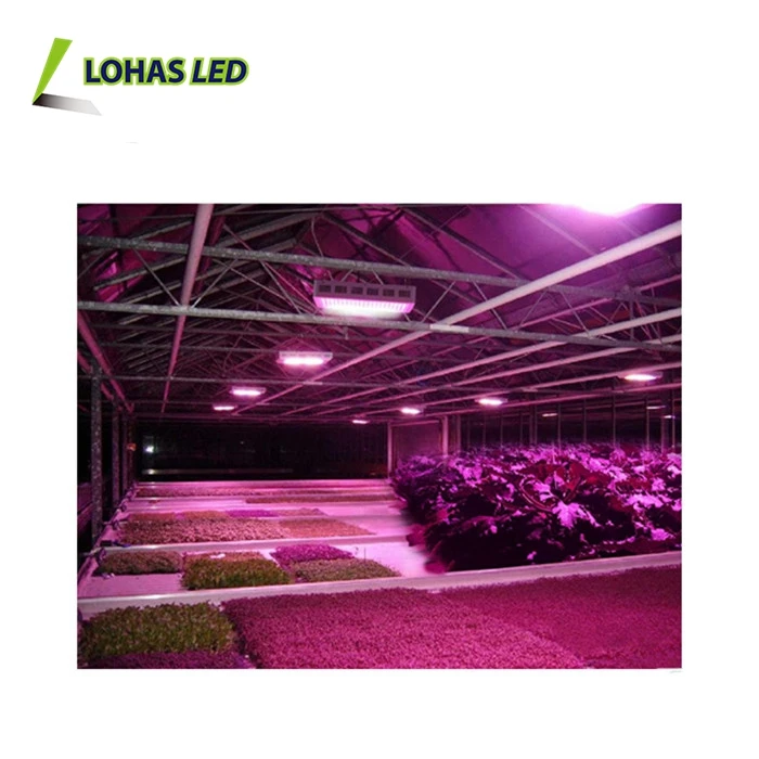 2016 Netherlands 85-265V 300pcs 3w LED 200w 300w 500w 600w 800w 900w LED Grow Light Full Spectrum for Greenhouse led grow light