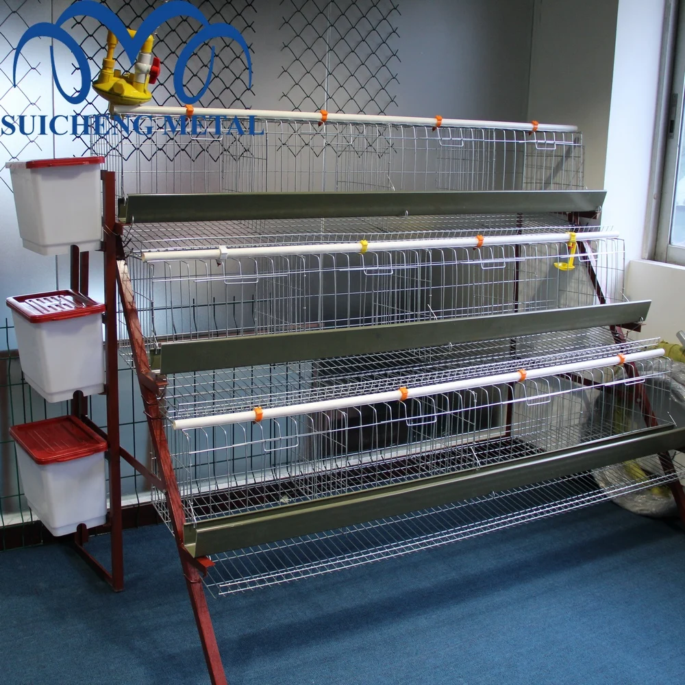 Factory Chicken Cages Layer 128 Poultry Farming Chicken Cage for Tanzania