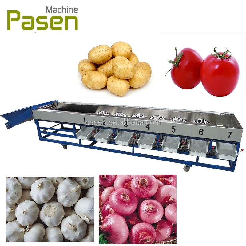 ミニトマト選別機リンゴ選別機丸型フルーツサイザー| Alibaba.com