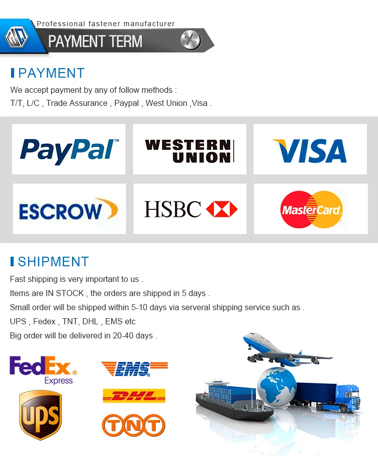 company 5.png