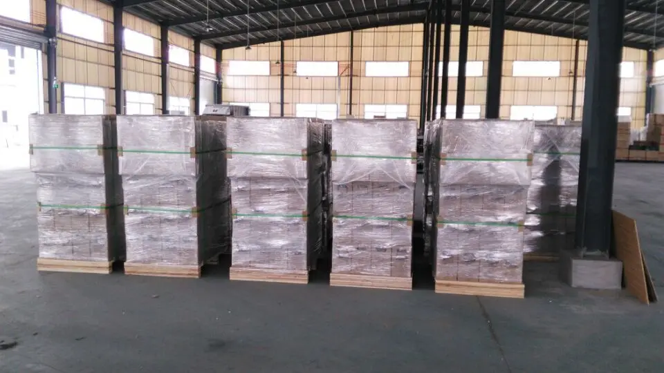 Foshan Esg New Energy Technology Co., Ltd. 3