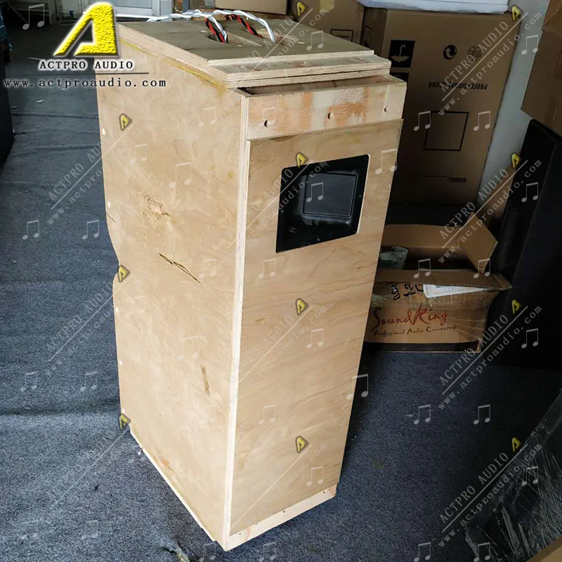 Professional Dual 12 Inch Line Array Peaker 1100W Powered Audio System ACTPRO AUDIO