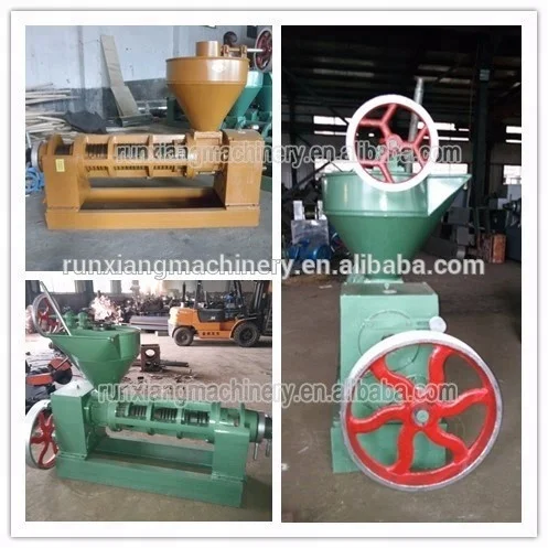 Castor Walnut Hazelnut Macadamia Nut Seed Sacha Inchi Cocoa Bean Jatropha Cold Small Mini Press Oil Extractor Machine