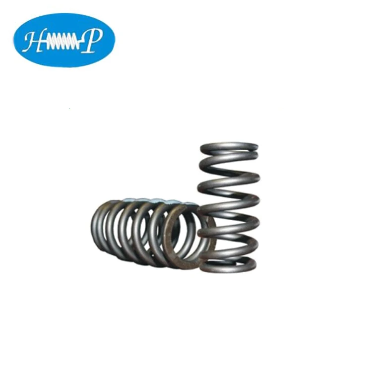 Intake and Exhaust Valve Spring