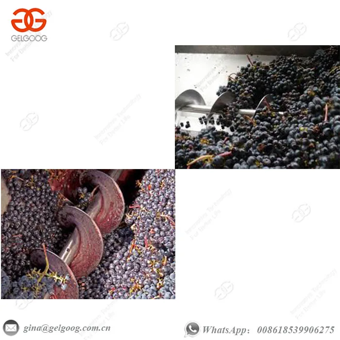 Commercial Fresh Fruit Juice Making Machine South Africa