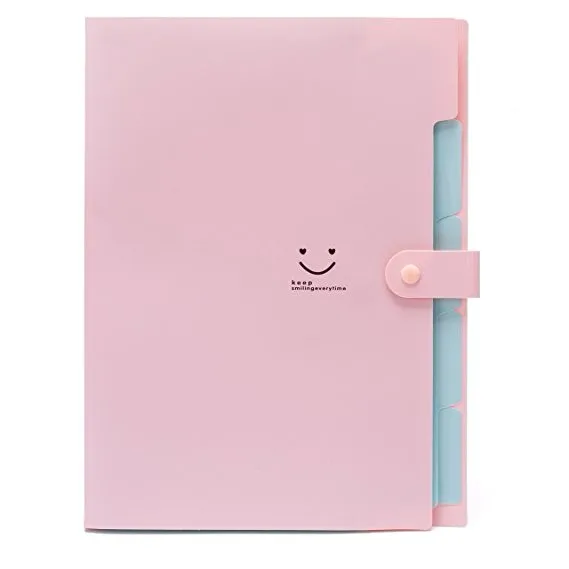 Изготовленный на заказ Печать расширение папки и офисный Органайзер документов, типа «гармошка» папка с зажимом, 5 карманами пластиковый набор