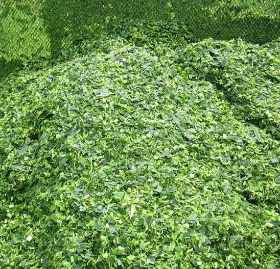 Однорядный кукурузный силоуборочный комбайн трактор