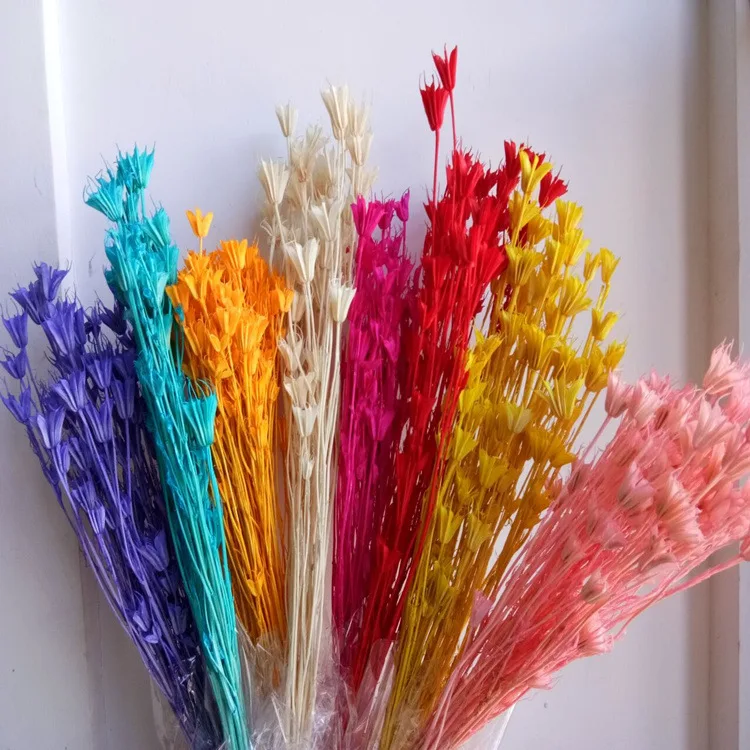 Заводской сушеный цветок, консервированный восьмиугольный цветок для композиции консервированных цветов