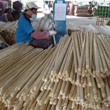 Guangxi Guigang Qinglin Import & Export Co., Ltd.