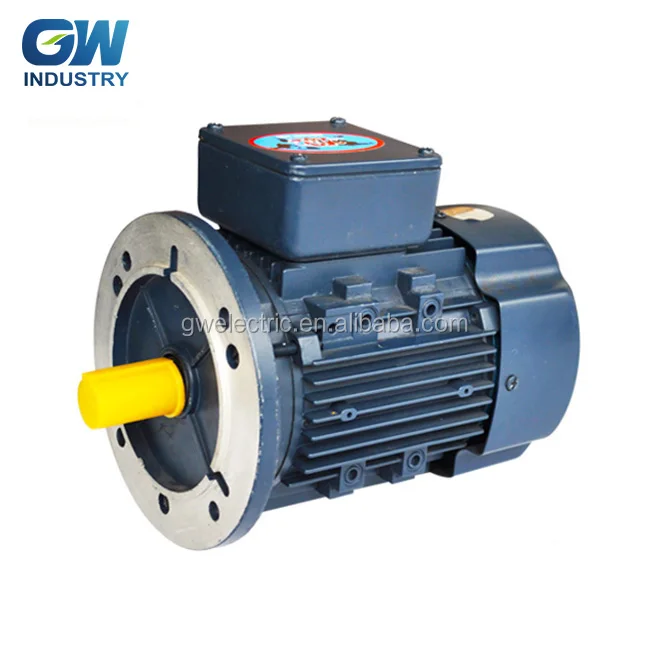 GW IEC 220v Single phase induction ac motor