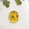 18.3x22.6x7.2mm Mexico natural yellow amber loose stone