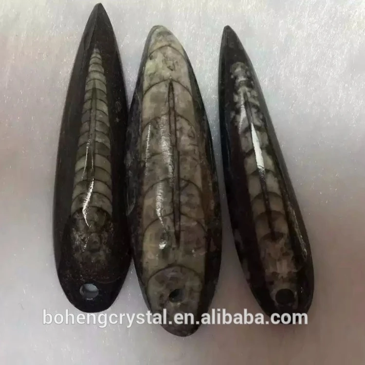 Cuttlefish Fossils Sinoceras Fossil Stones for Sale Wholesale Natural Feng Shui Crystal Image Boheng Crystal Carved Engraving