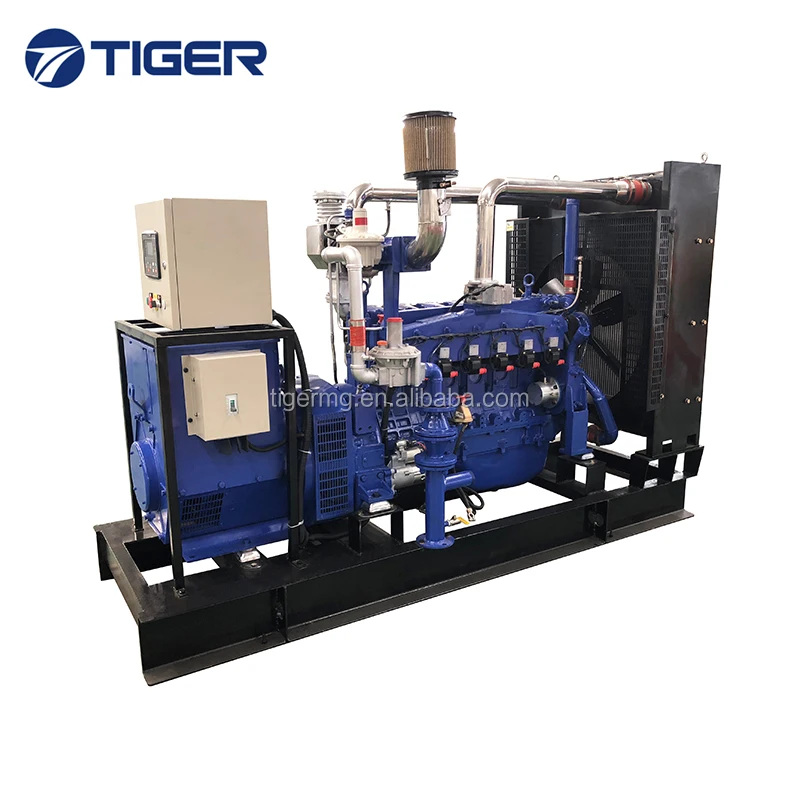 Combined Heat and Power Chp Boiler 100kw Biogas Generator Price