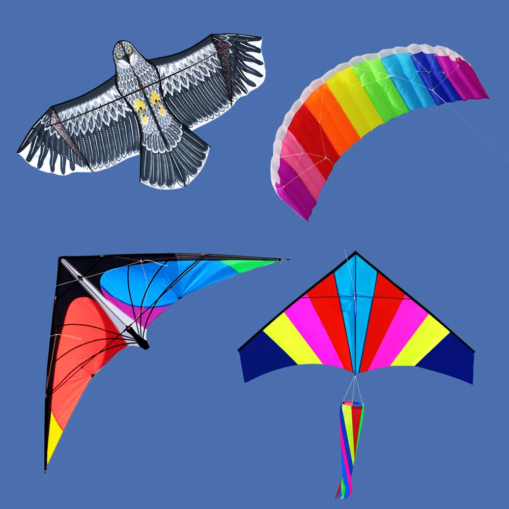 Different Types Of Kite Drawing At Gemma Hoff Blog