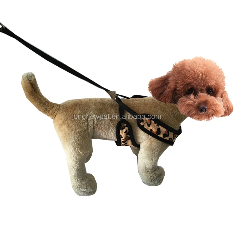 dog leads for outside