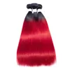 1B Red