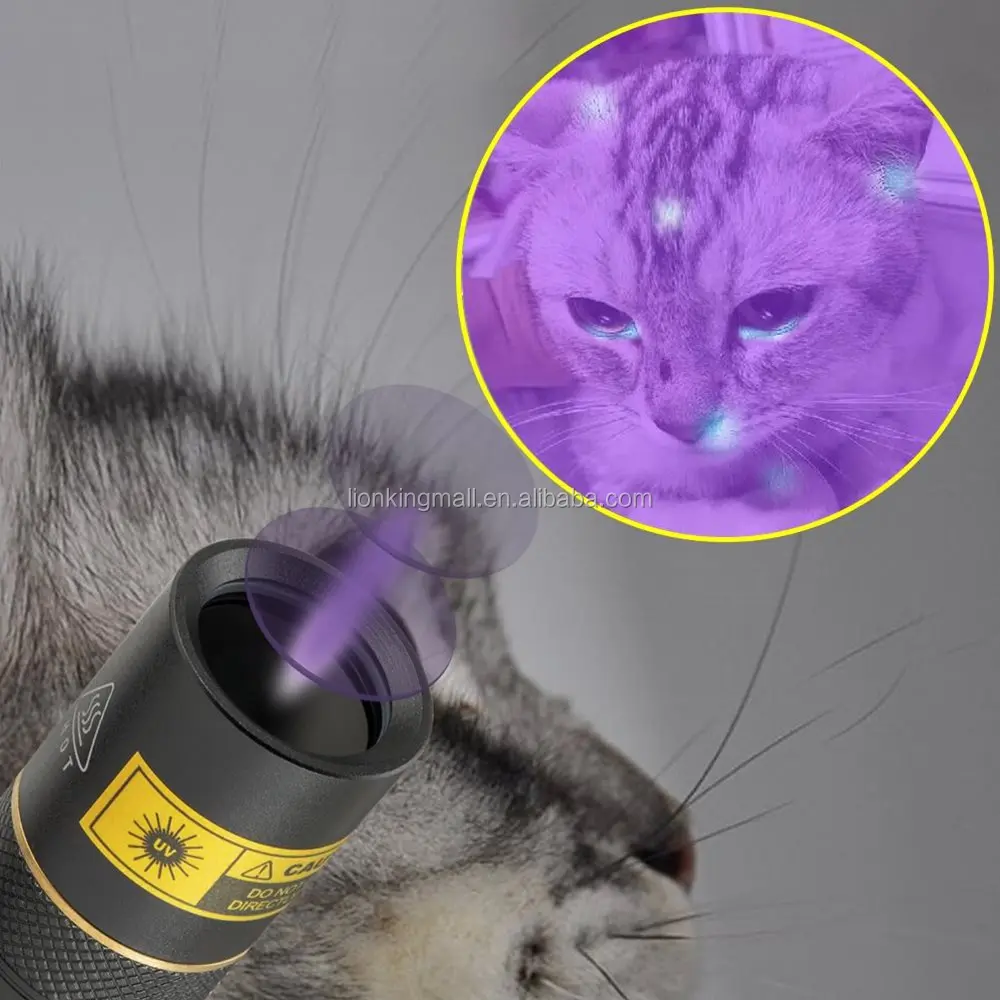 ALONEFIRE SV003 10W 365nm UV Flashlight Portable Rechargeable Blacklight for Pet Urine Detector, Resin Curing, Scorpion, Fishing, Minerals wit並行輸入 ALONEFIRE X901UV 10W 365nm UV Flashlight USB Jamaica | Ubuy